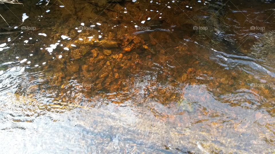 Creek with foam black water