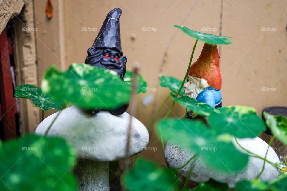 Gnome meeting 