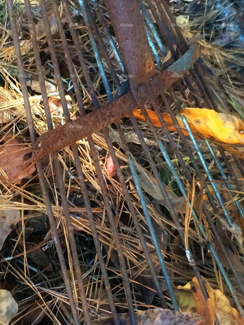 Rusty rake