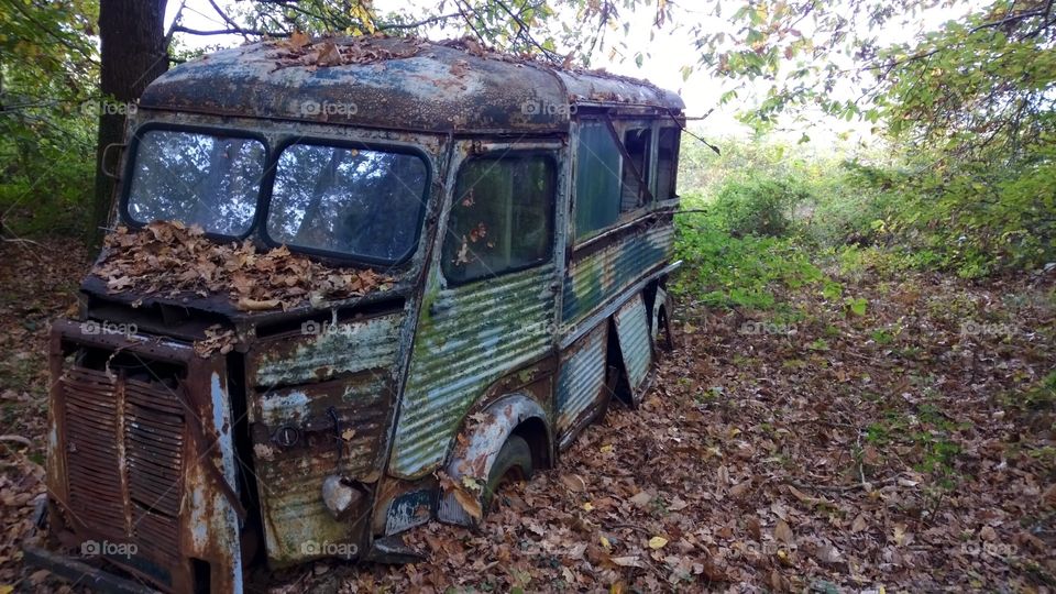 Abandoned van in the woods