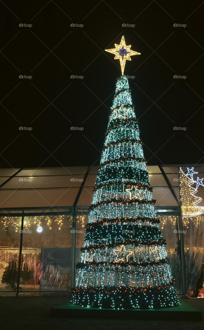 A large lit up Christmas tree in the centre of a town in Portugal, with a single star in the night sky. 