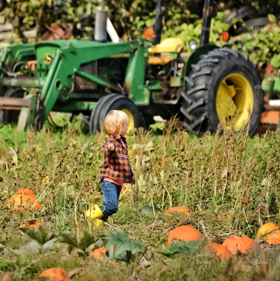 Little boy running through a pumpkin patch
