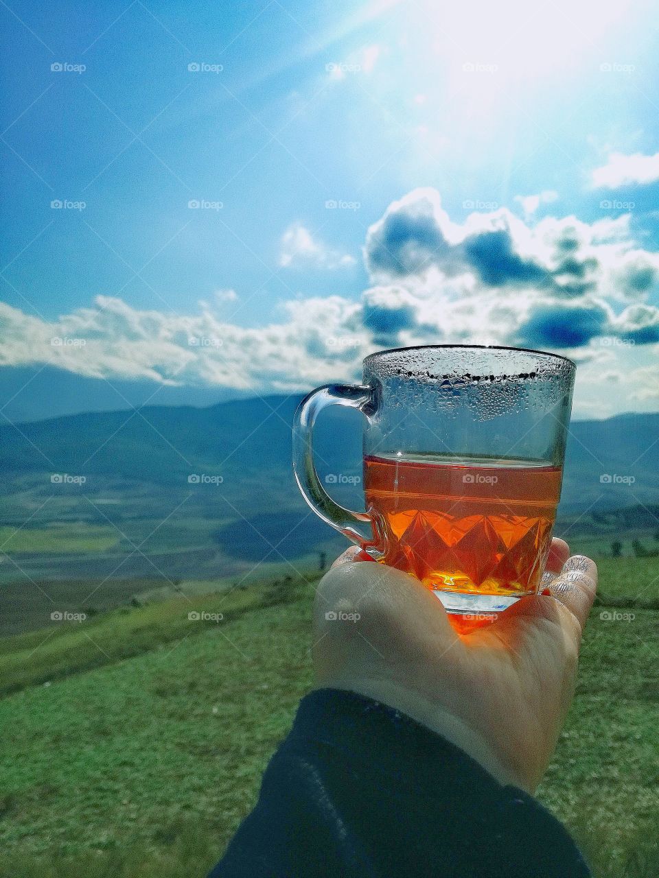 Tea in nature