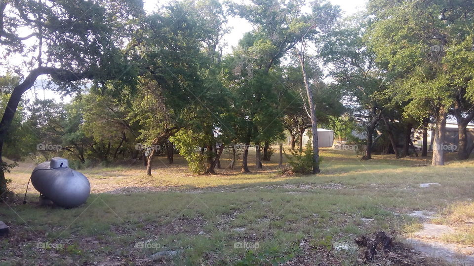 Propane Tank Vagabond