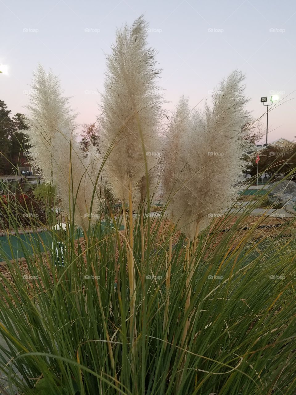 a light flow of the old days