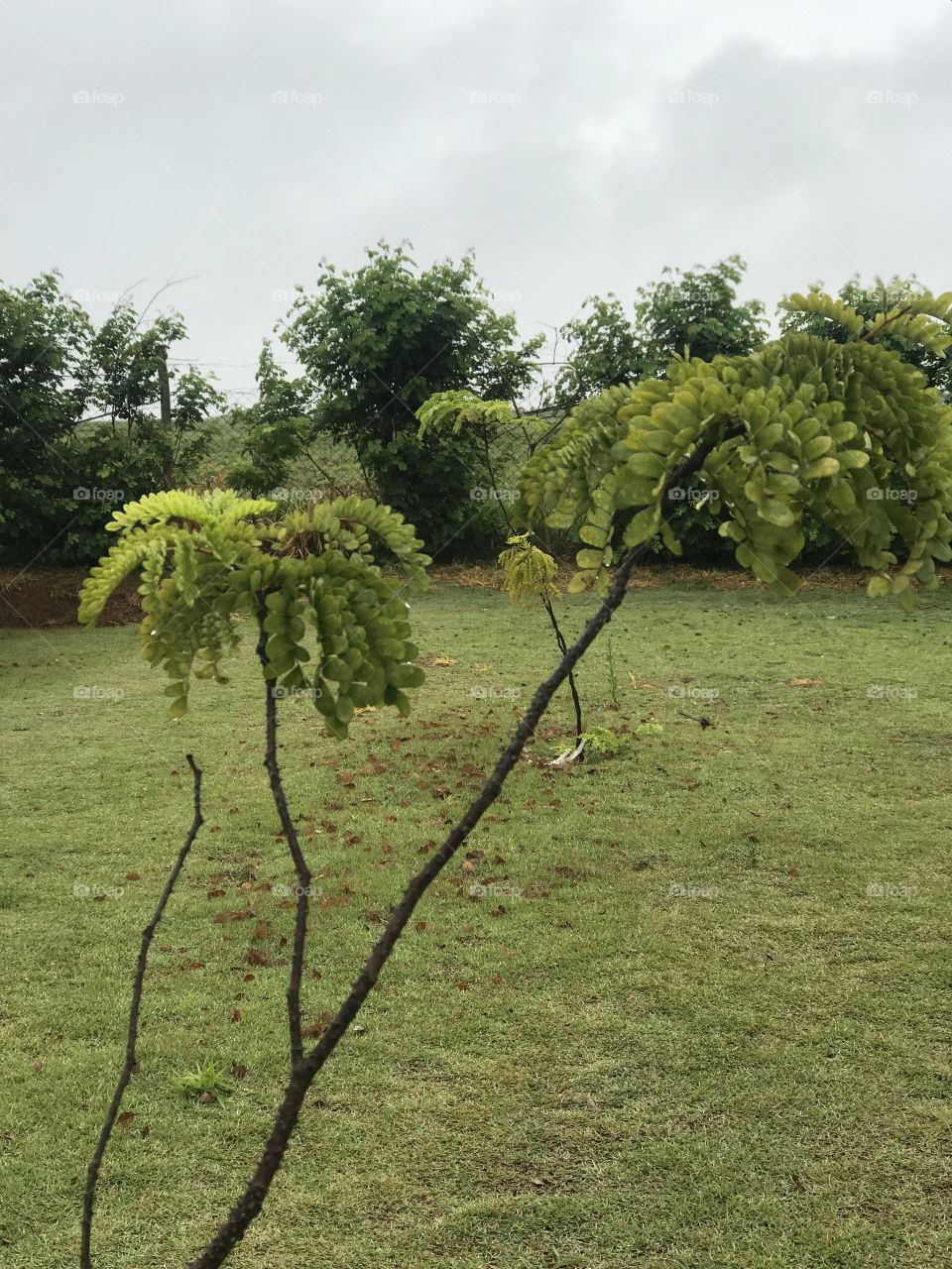 Some snaps near the highways condômino