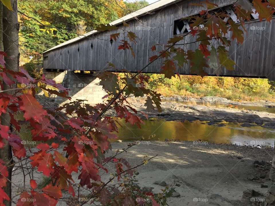 Covered bridge in Vermont during peak fall foliage season. 