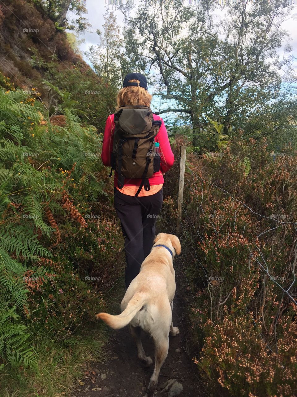 Hiking trip with our dog