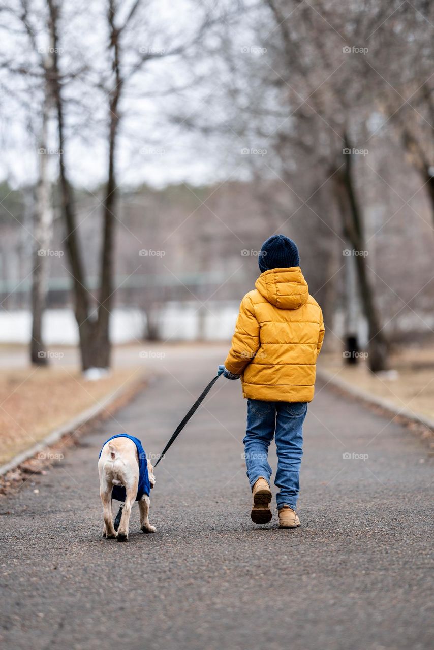 A boy in yellow jacket walks with his dog. Cocker spaniel walking outdoors
