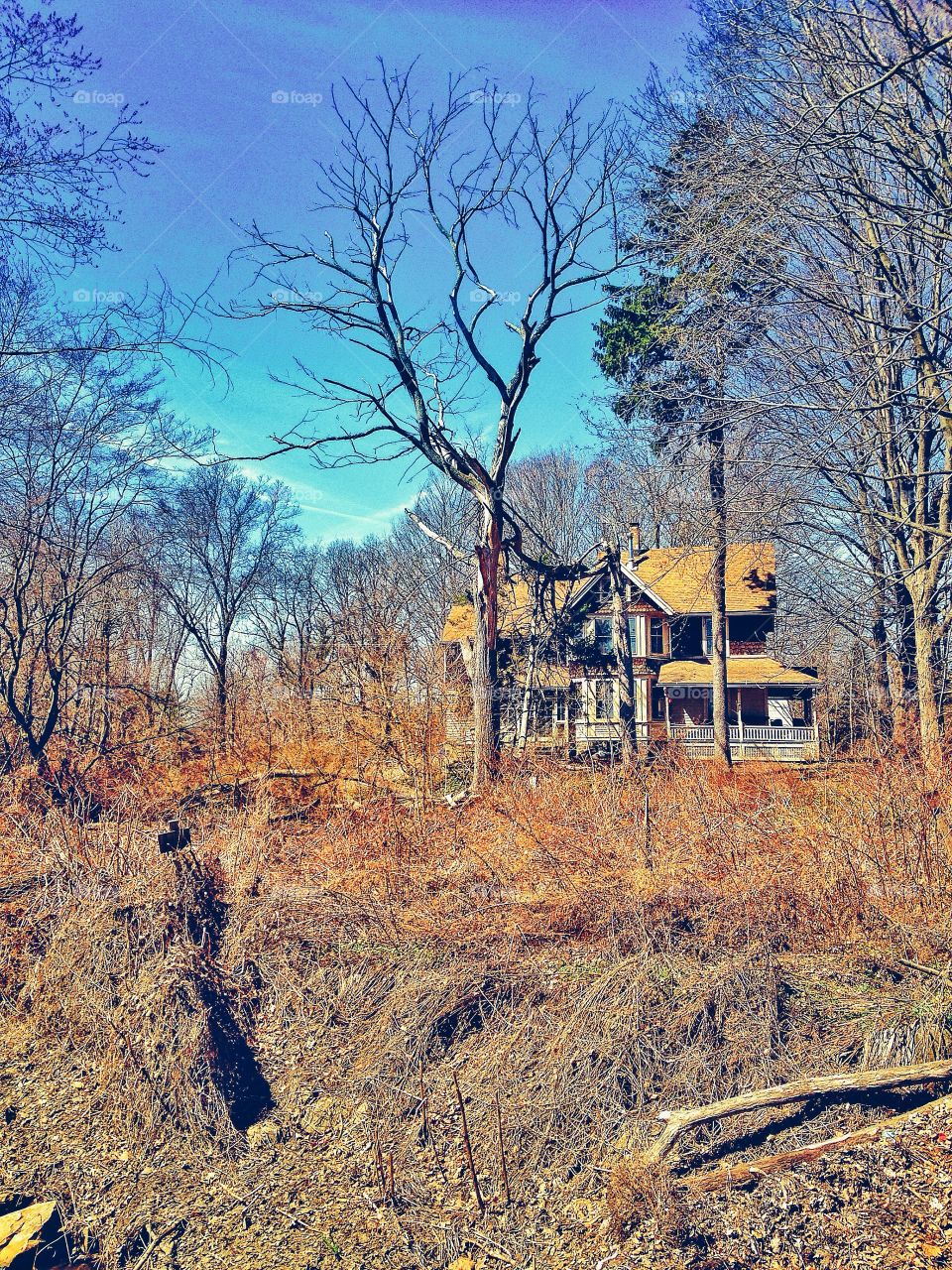 CT Chainsaw Massacre....... Creepy turn of the century farmhouse 