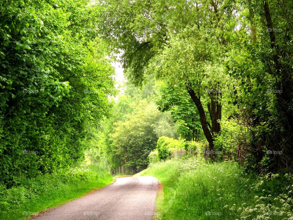 green arch 