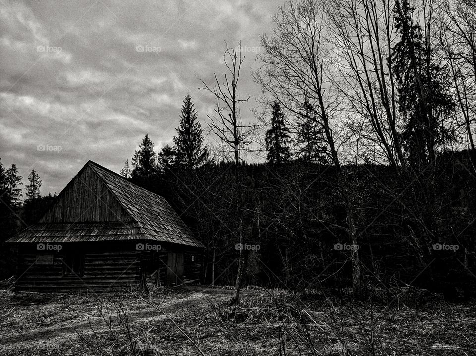 Польша 🇵🇱