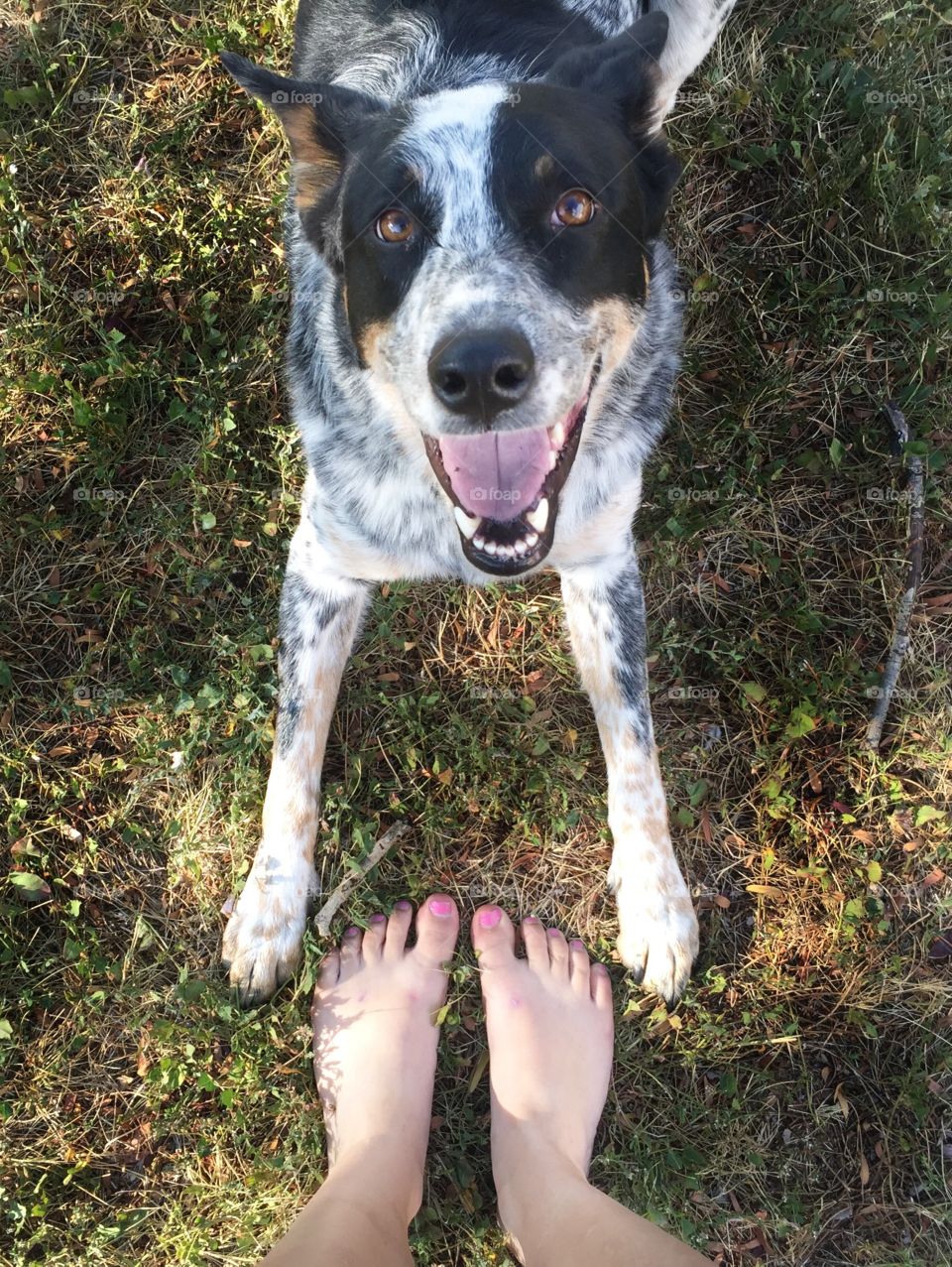 Enjoying a day with the pup!