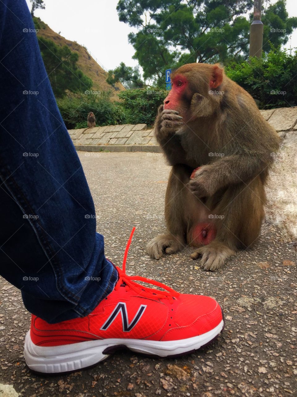 Umm ...... let me think about it