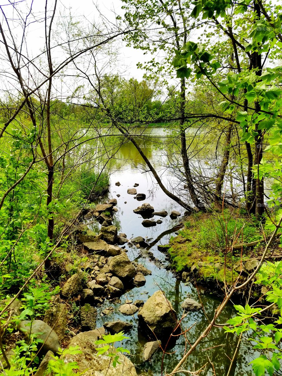 Pond Along Bike Path