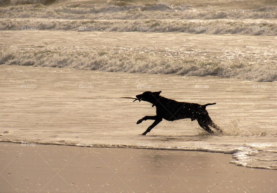 On the beach