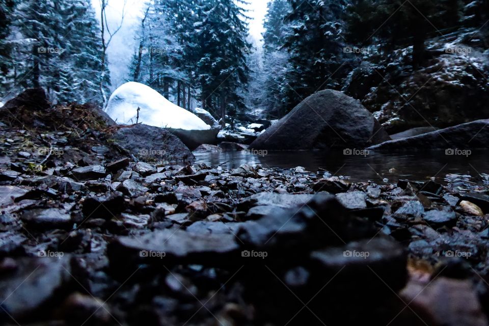 Winter at the watercourse - Harz - Niedersachsen 