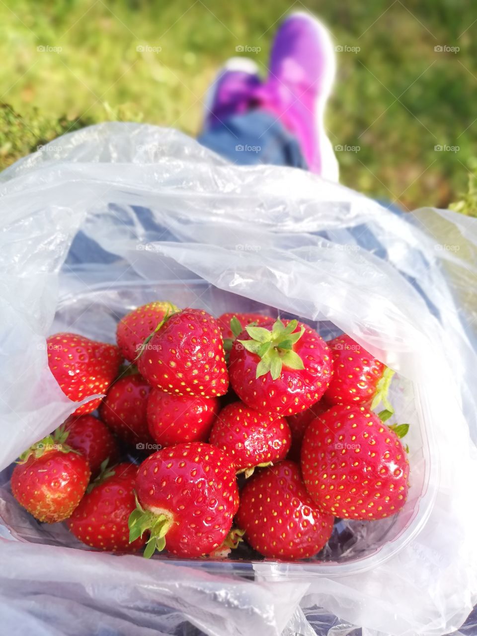 It's a sunny day to relax having delicious strawberries in the box, which is in the bag, both see-through and plastic, on the knees and straighten the legs in the jeans and violet sneakers on the grass.