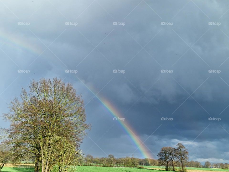 Rainbow and trees