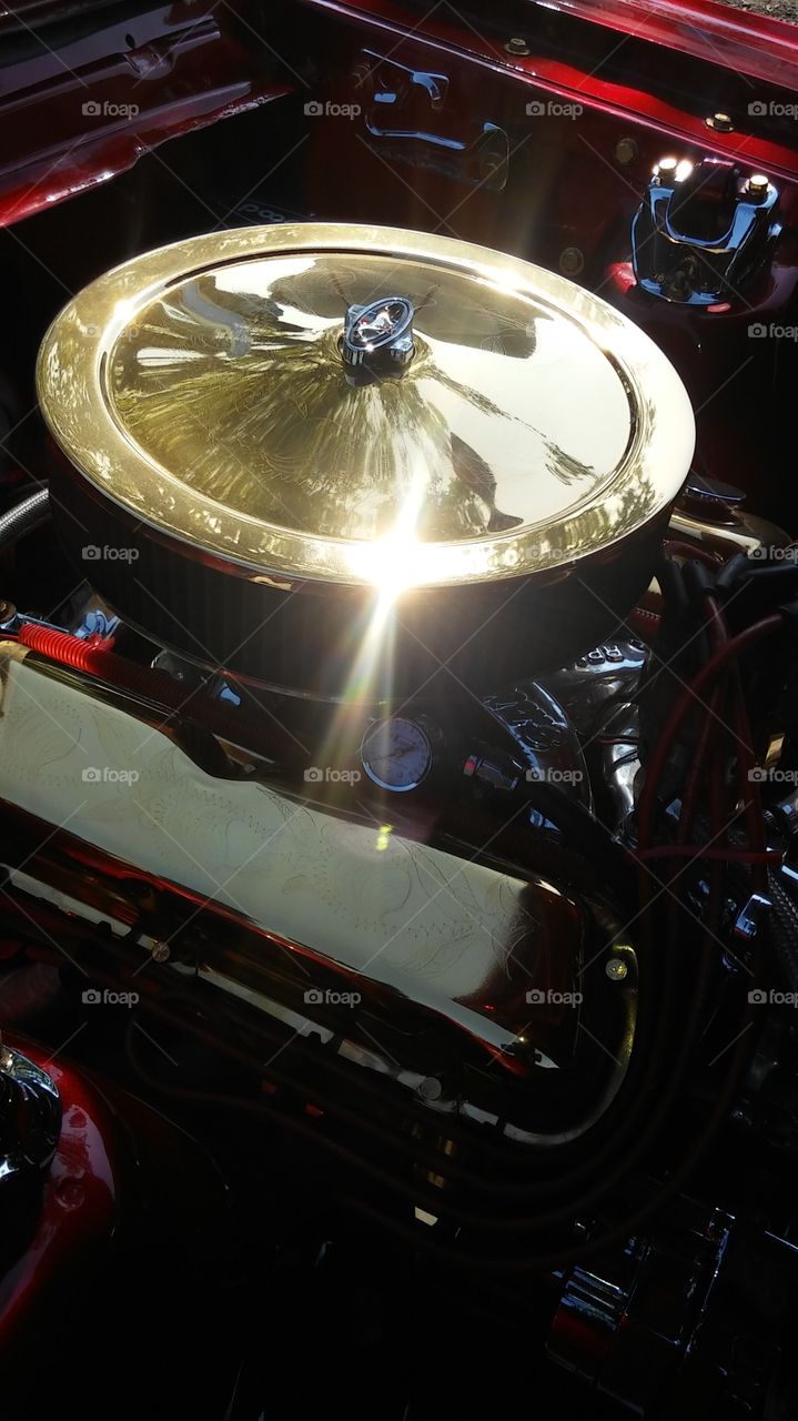 sunlight gold Sparkle