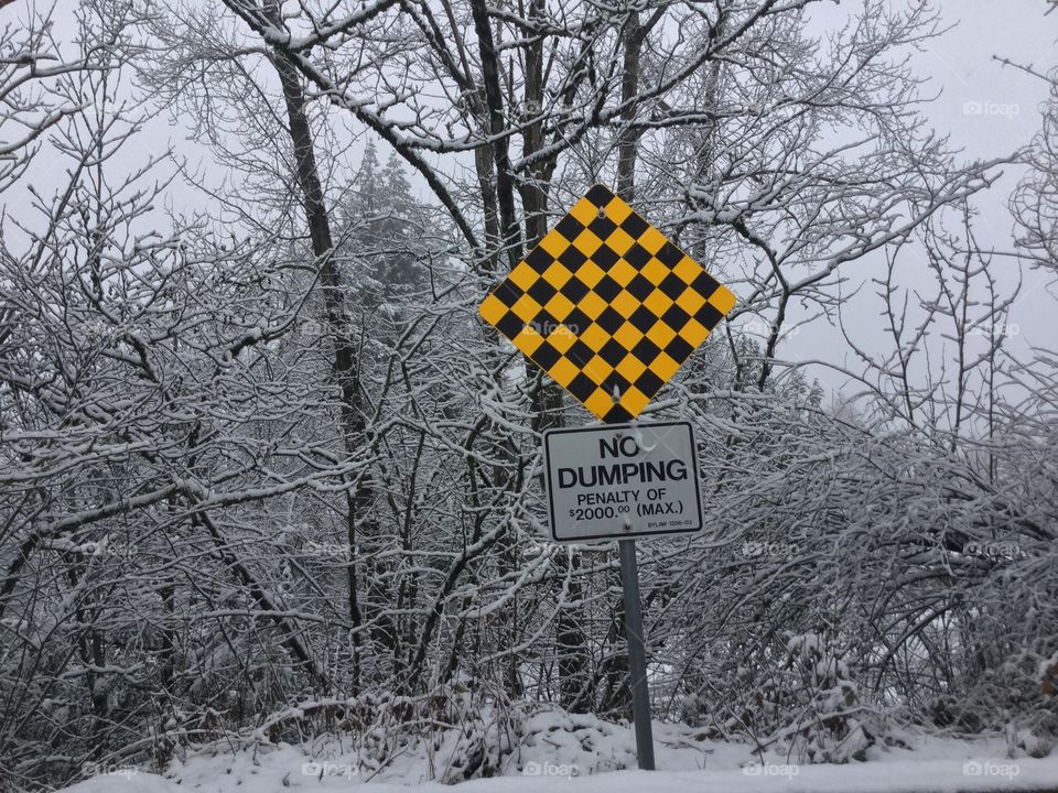 Where the Road Ends before the Woods Begin