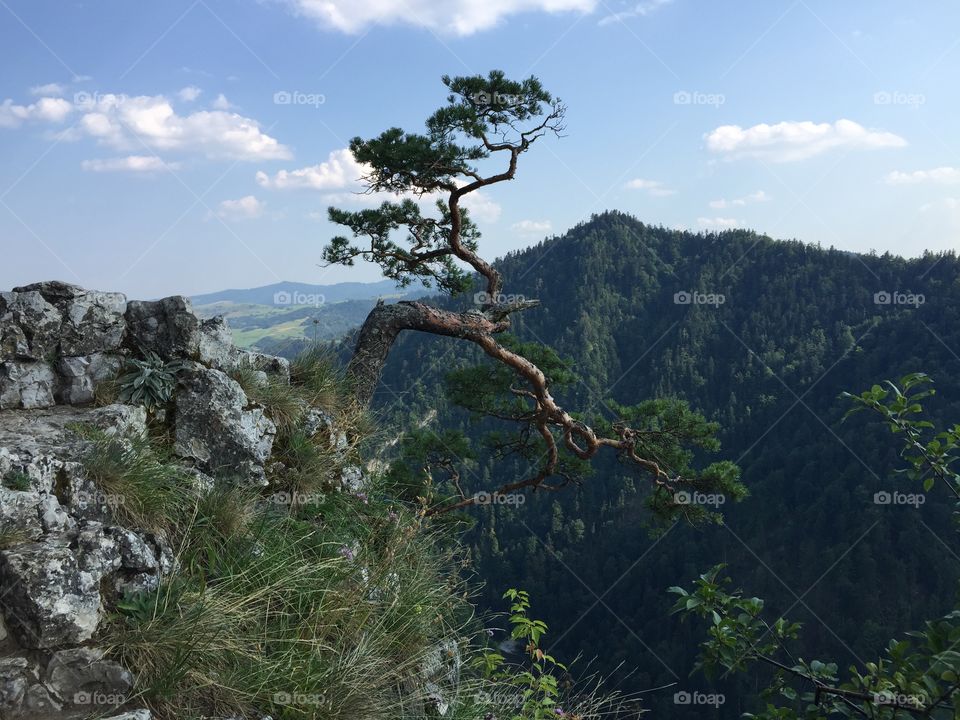 Sokolica peak