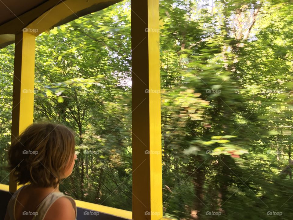 Girl Looking Out The Train Window