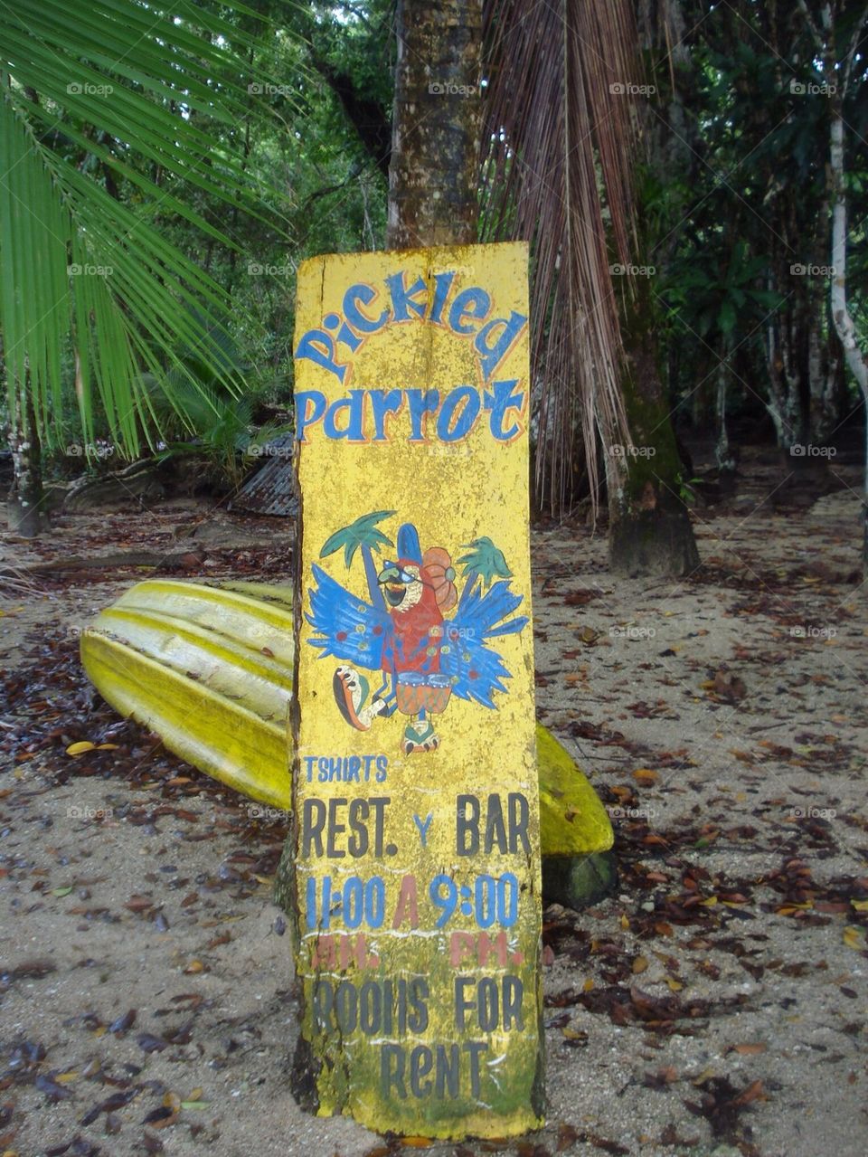 Surfers Paradise Island