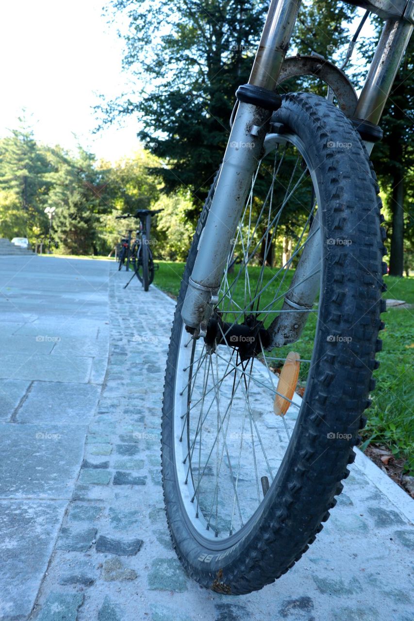 Bicycles are the best!