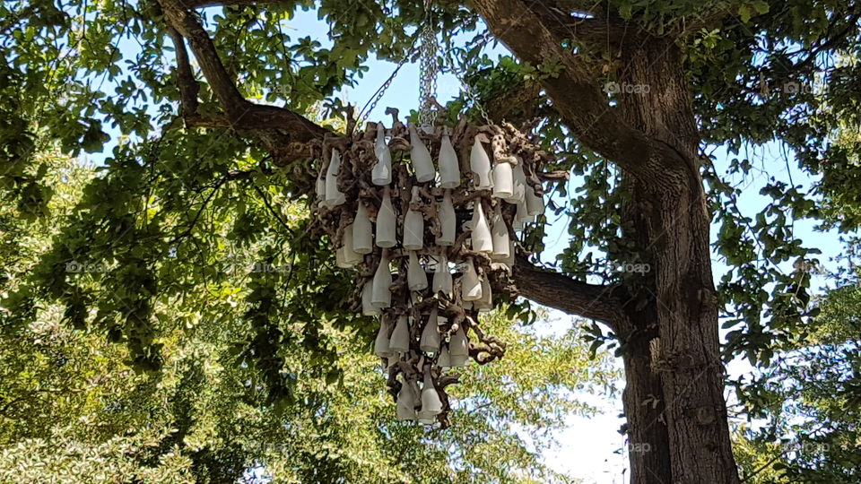 a lamp made from dried wood and wine bottles hang from an old oak tree at Simonsig winery Stellenbosch South Africa