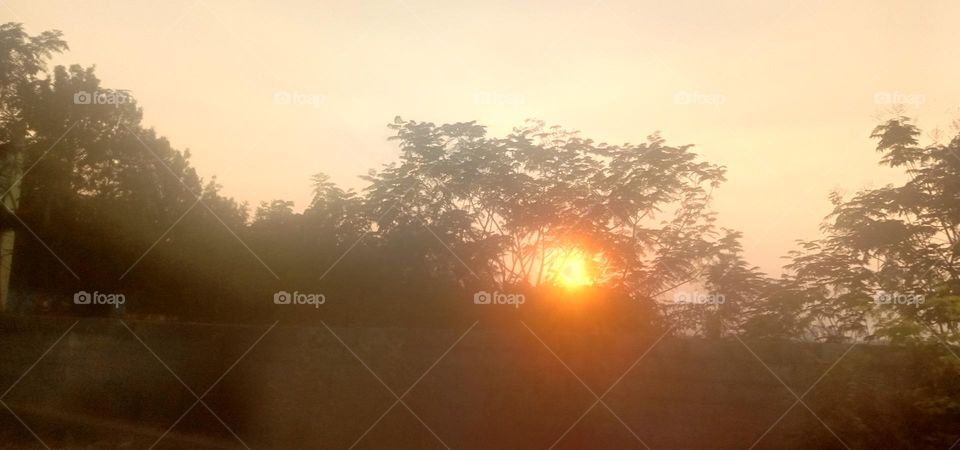 hidden sunshine ☀️❣️