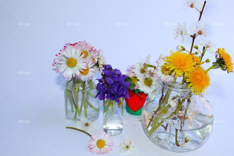 Small glass vases with the first spring flowers,  daisies,  violet flower, and dandelion . Beautiful home decor