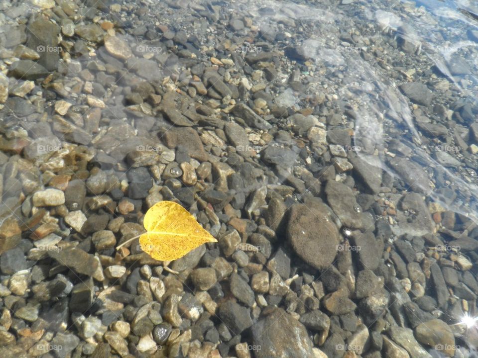 Pure beauty in nature