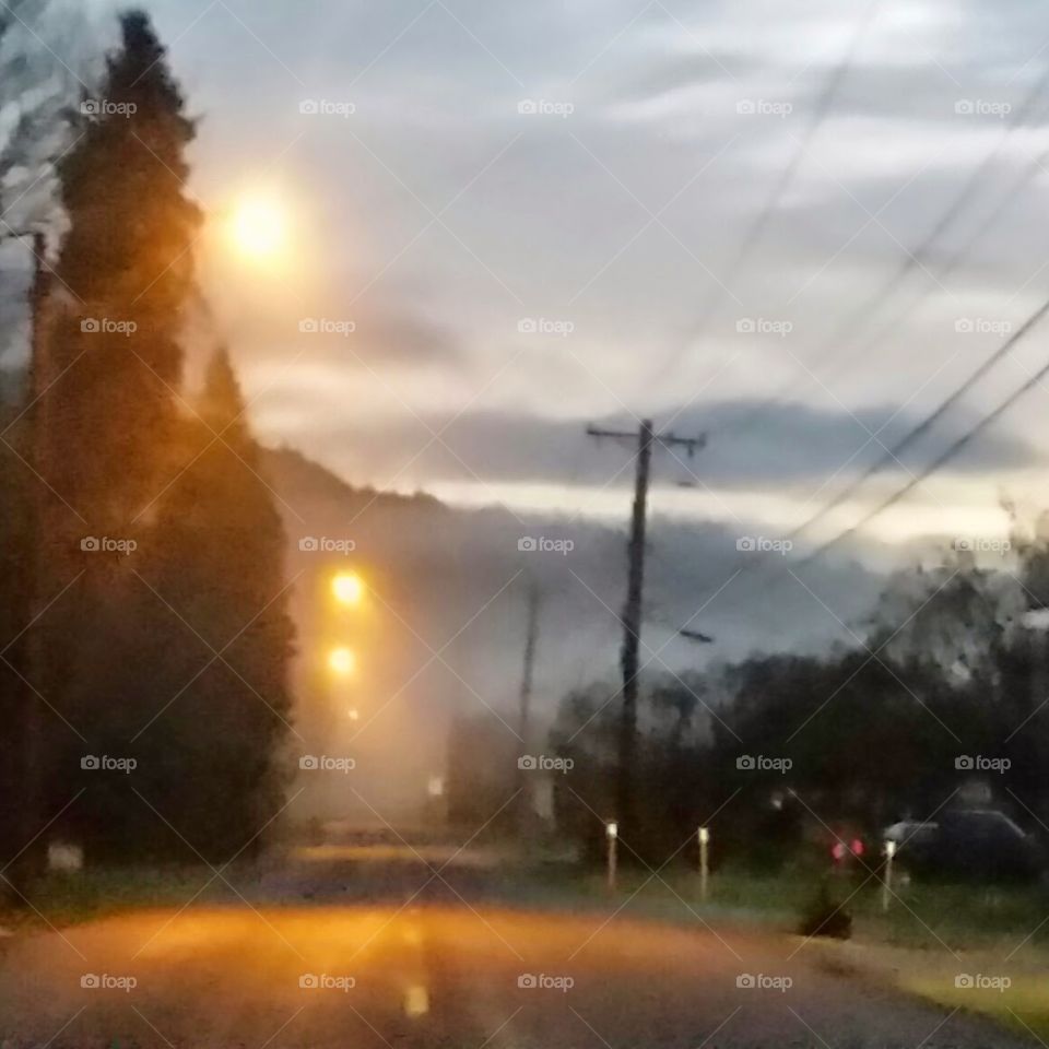 foggy morning street