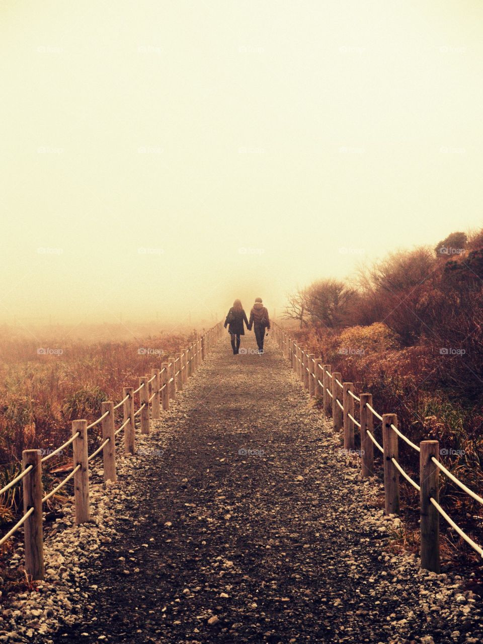 Couple in the Mist