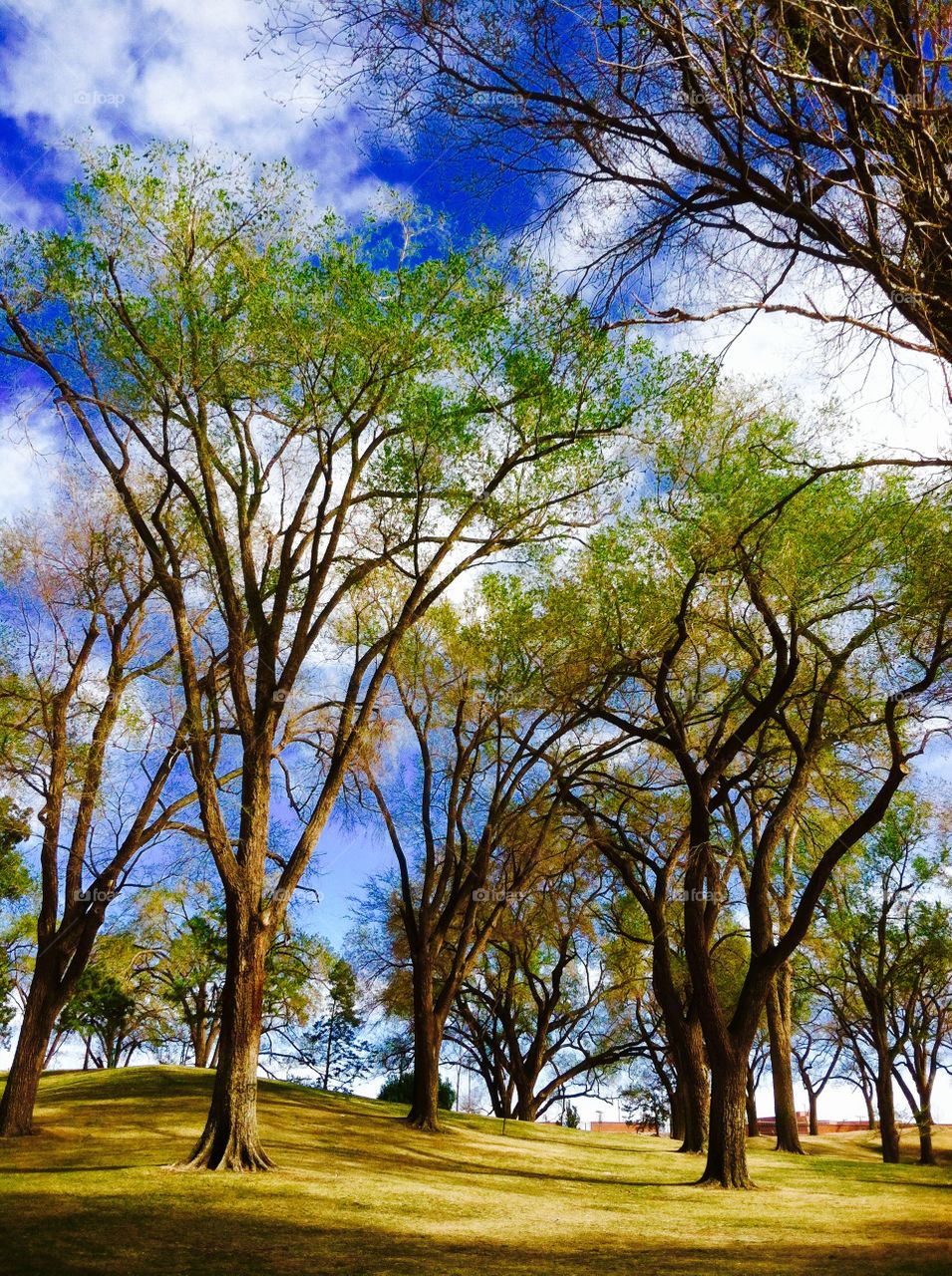 Albuquerque New Mexico park