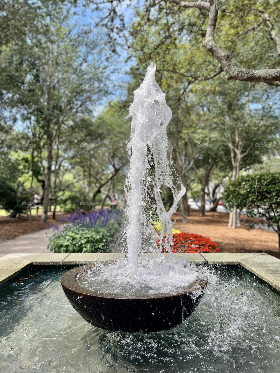 Bubbling fountain in foreground on a sunny day. Background in city park with trees, gravel walking path, and spring blooming plants.