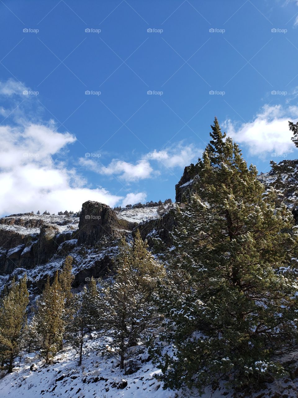 Andesite and basalt rock formations on a hill covered with fresh snow with large juniper trees in the foreground on a winter day in Central Oregon with bright blue skies.