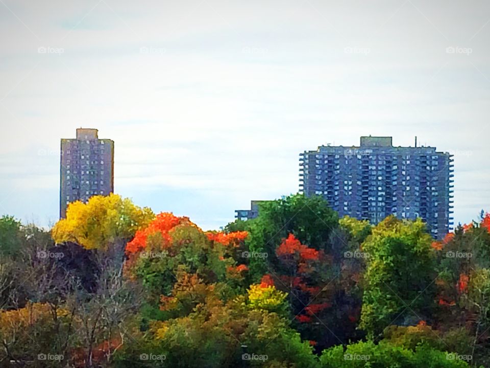 Autumn in the city