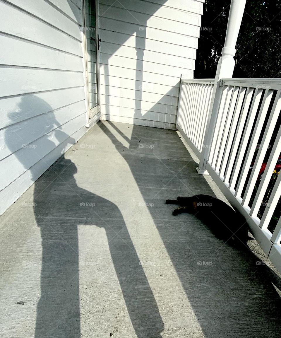 Shadow of a woman taking a photo of a cat