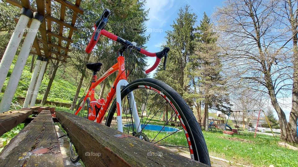 Bike and summer