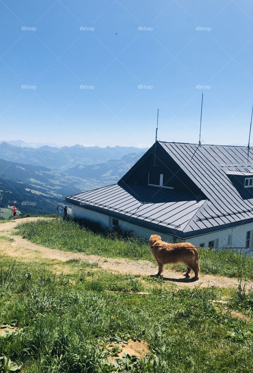 a trip to the austrian alpine mountains 
