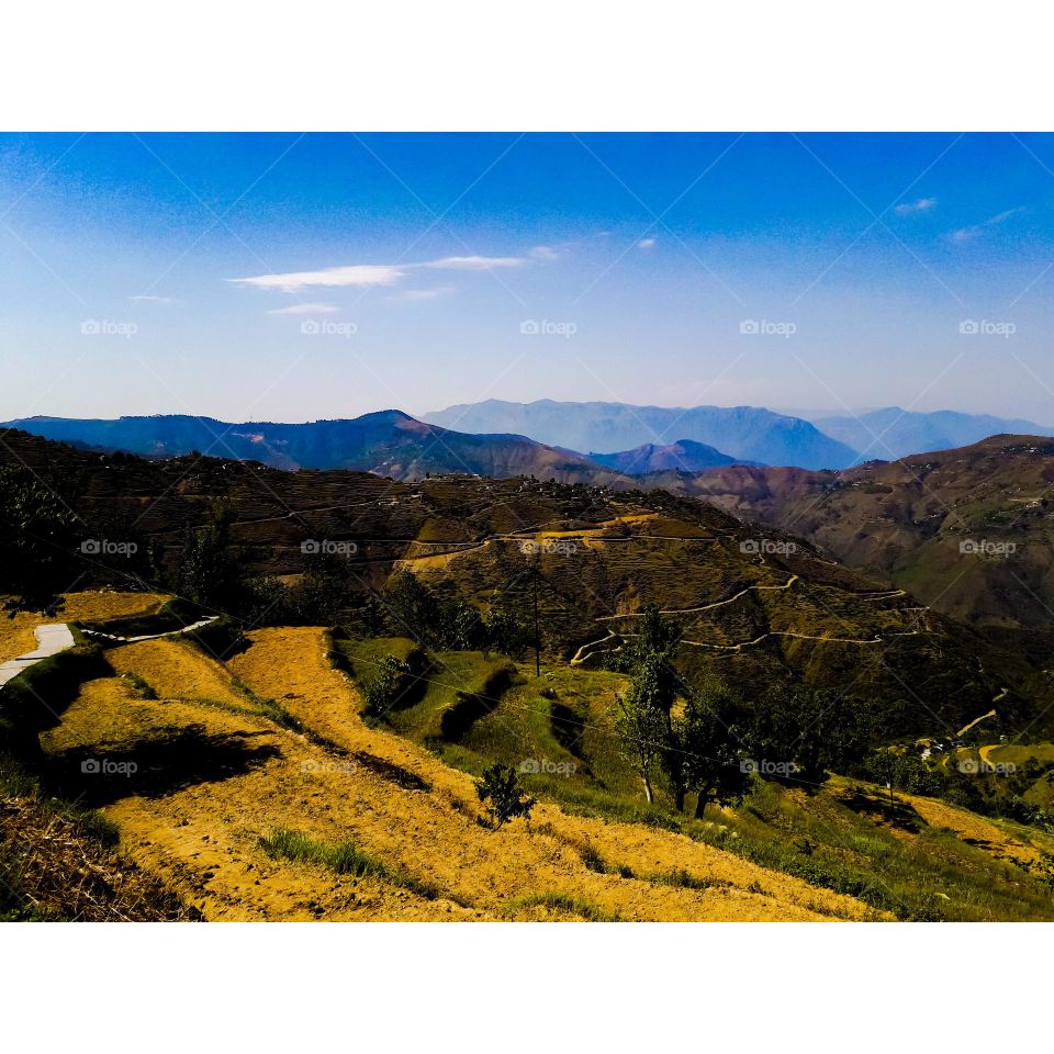 Editors' Choice: Photo of the week