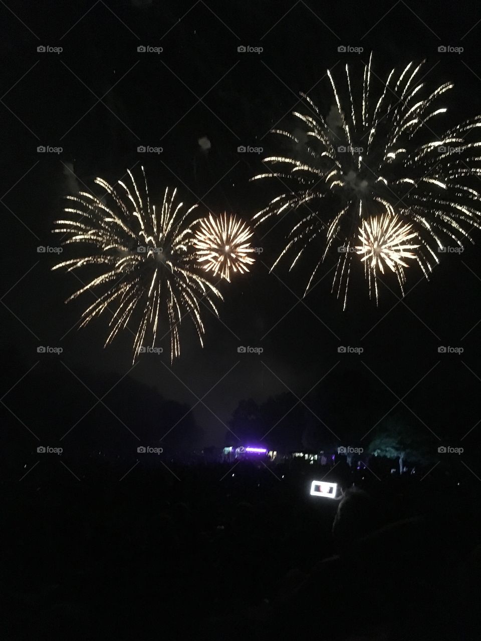 Fireworks light the sky 