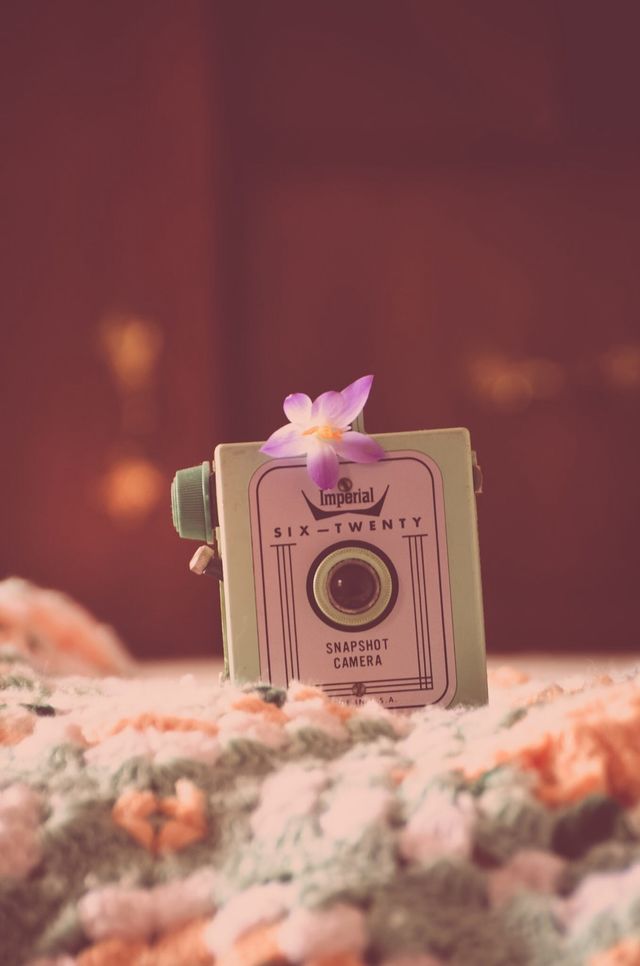 Snapshot