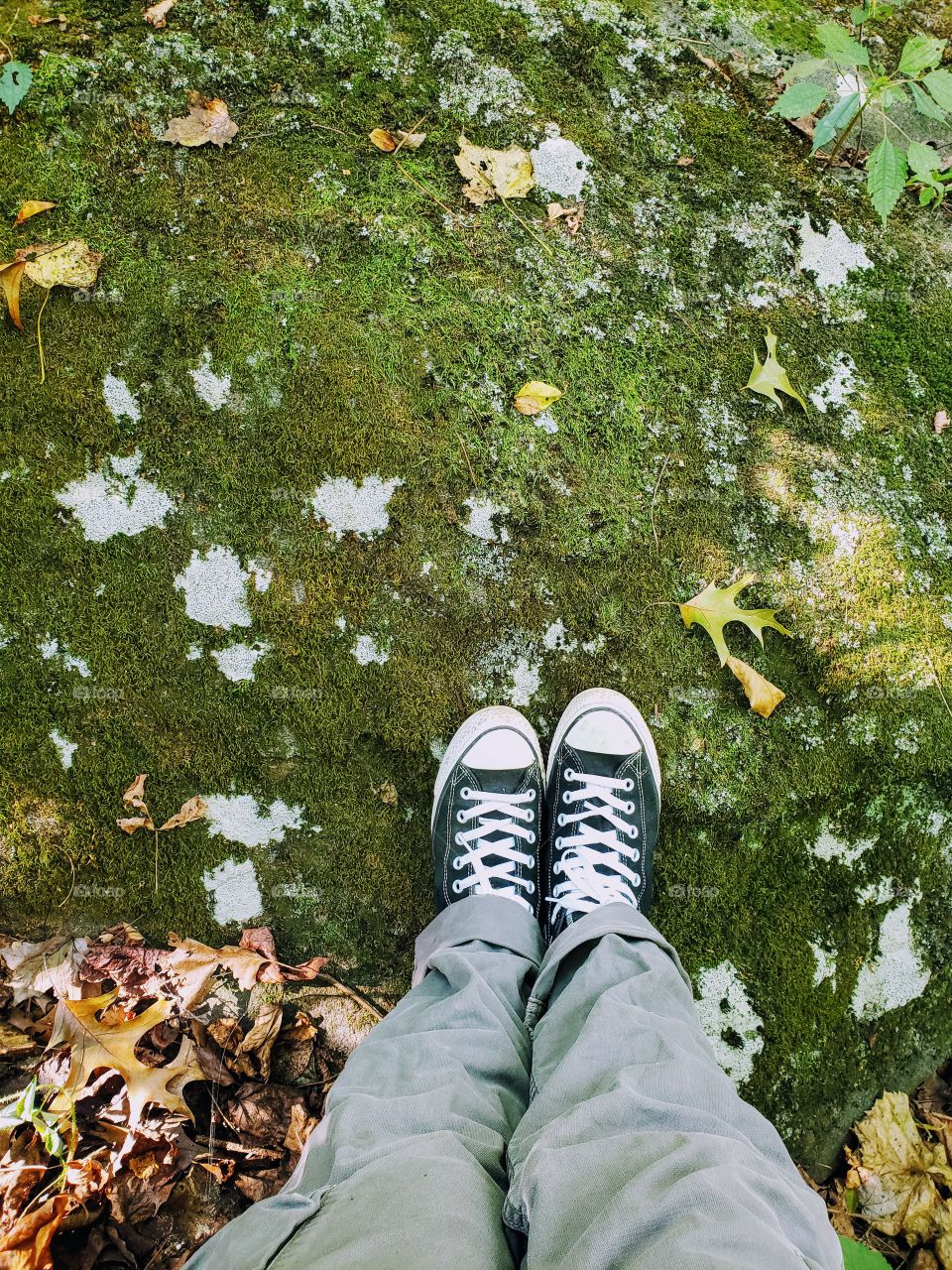 Rocks and moss and sneakers and socks. Green and bright and leaves and light.