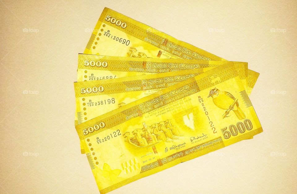 Sri Lankan rupees 5000 notes