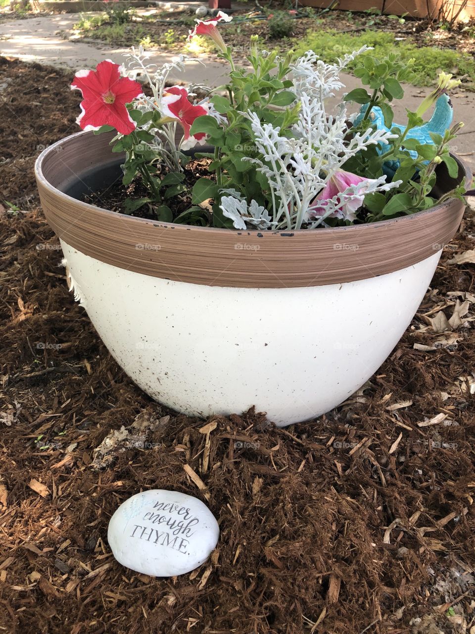 Flowers in planter pot