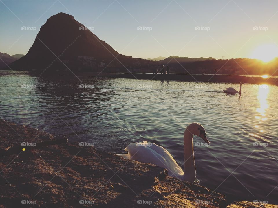 A very warm afternoon of October near the lake of Lugano