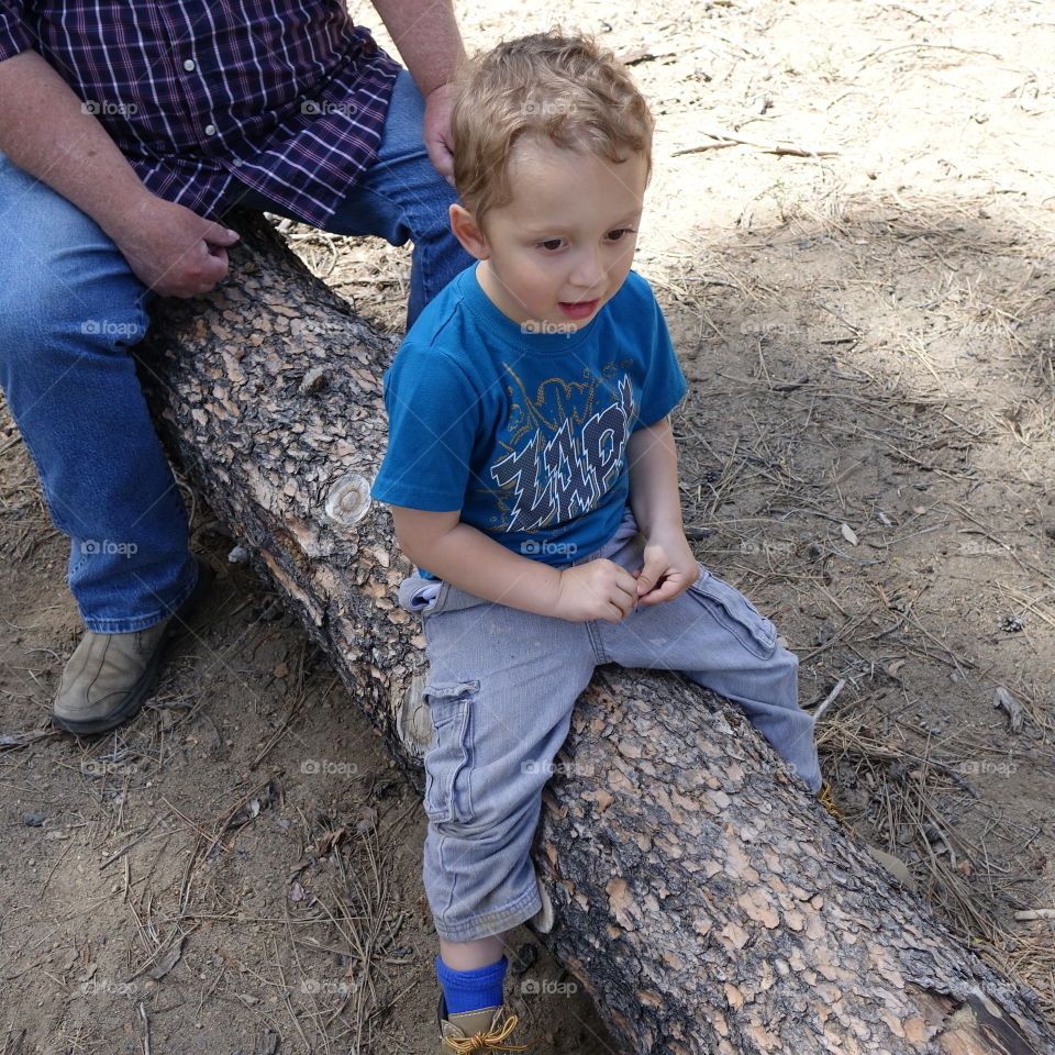 A little boy sitting on a log with his family on a hike in the woods of Central Oregon on a sunny summer day. 